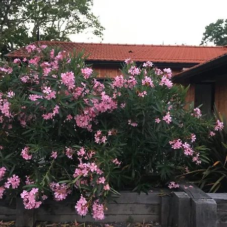 A Quelques Pas Du Sentier Du Littoral Maison De Casa de Férias
