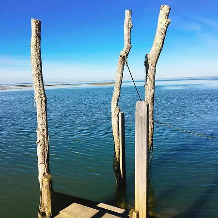 A Quelques Pas Du Sentier Du Littoral Maison De * Gujan-Mestras