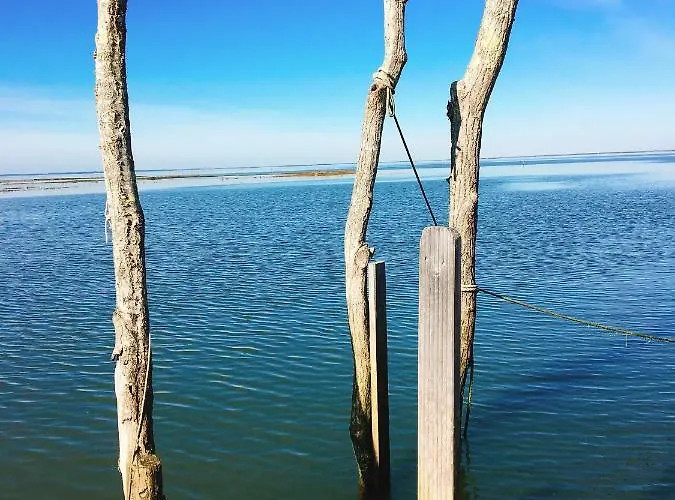 A Quelques Pas Du Sentier Du Littoral Maison De * Gujan-Mestras