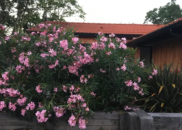A Quelques Pas Du Sentier Du Littoral Maison De بيت للعطل